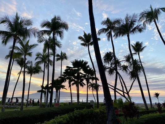 Kaanapali Alii Resort by null