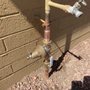 Photo of Cactus Rooter
