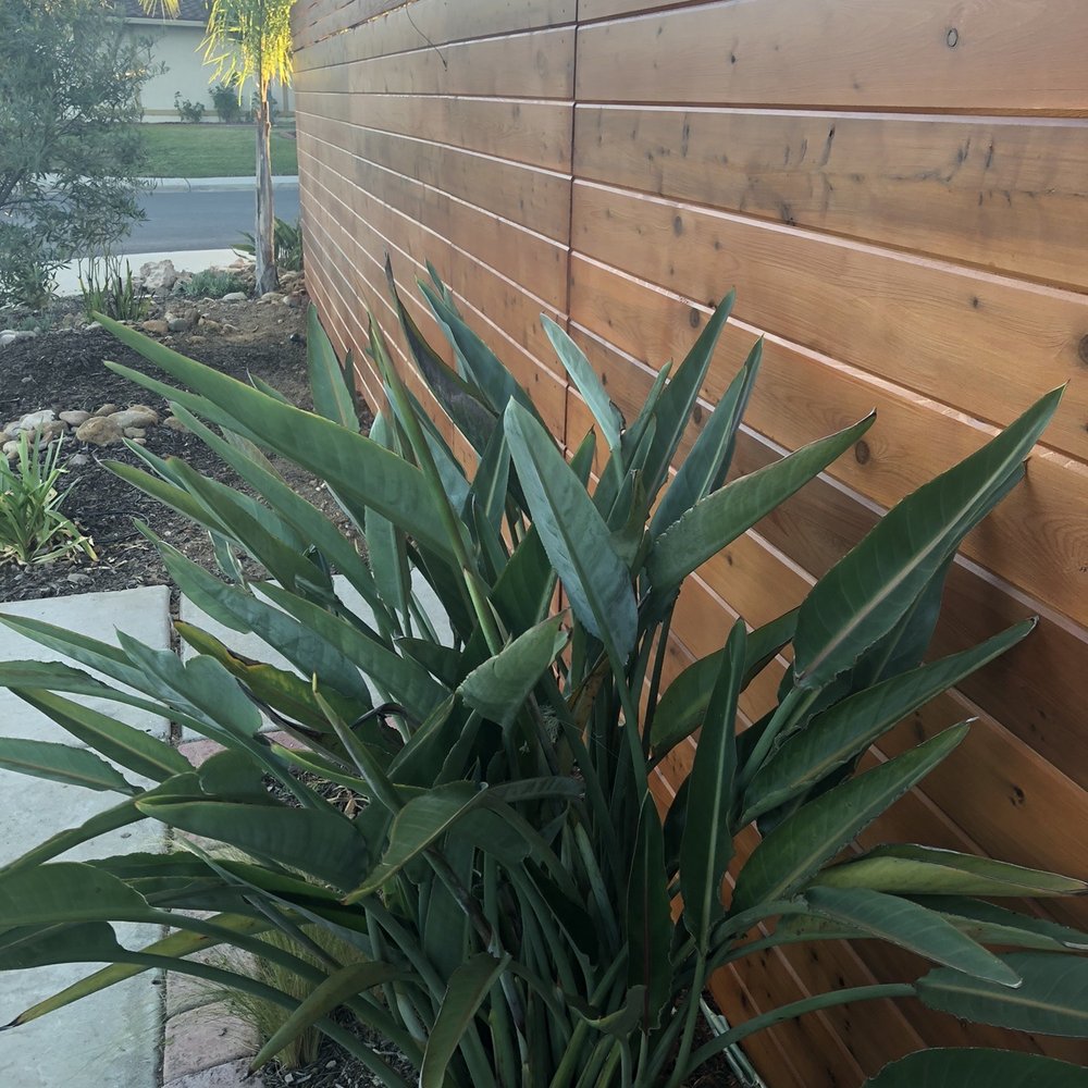 Scripps Poway Fencing - Horizontal privacy fence - General Contractors Near Me - Vista, California