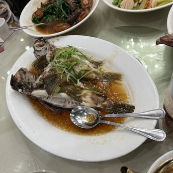HL Peninsula Restaurant - Seabass? - Dim Sum Near Me - Milpitas, California