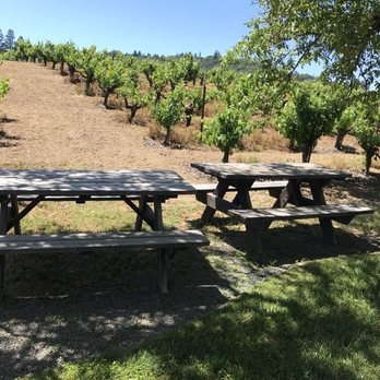 Testa Vineyards - A little shade for you - Wineries Near Me - Calpella, California Testa Vineyards - A little shade for you - Wineries Near Me - Calpella, California