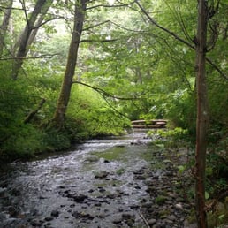 Forest hike