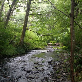 Goldstream Provincial Park - Forest hike - Parks Near Me - Victoria, British Columbia