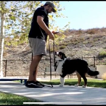 Off Leash K9 Training  - Cole & Birdie Sue - Pet Training Near Me - Murrieta, California