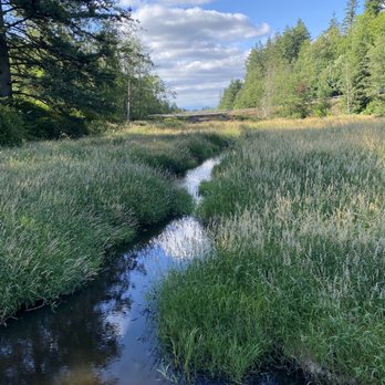 Campbell Valley Regional Park - The river at mini river loop - Parks Near Me - Langley, British Columbia Campbell Valley Regional Park - The river at mini river loop - Parks Near Me - Langley, British Columbia