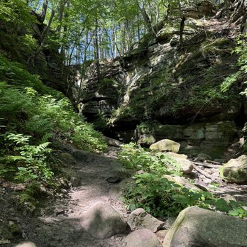 Parfrey's Glen - Hiking Near Me Parfrey's Glen - Hiking Near Me