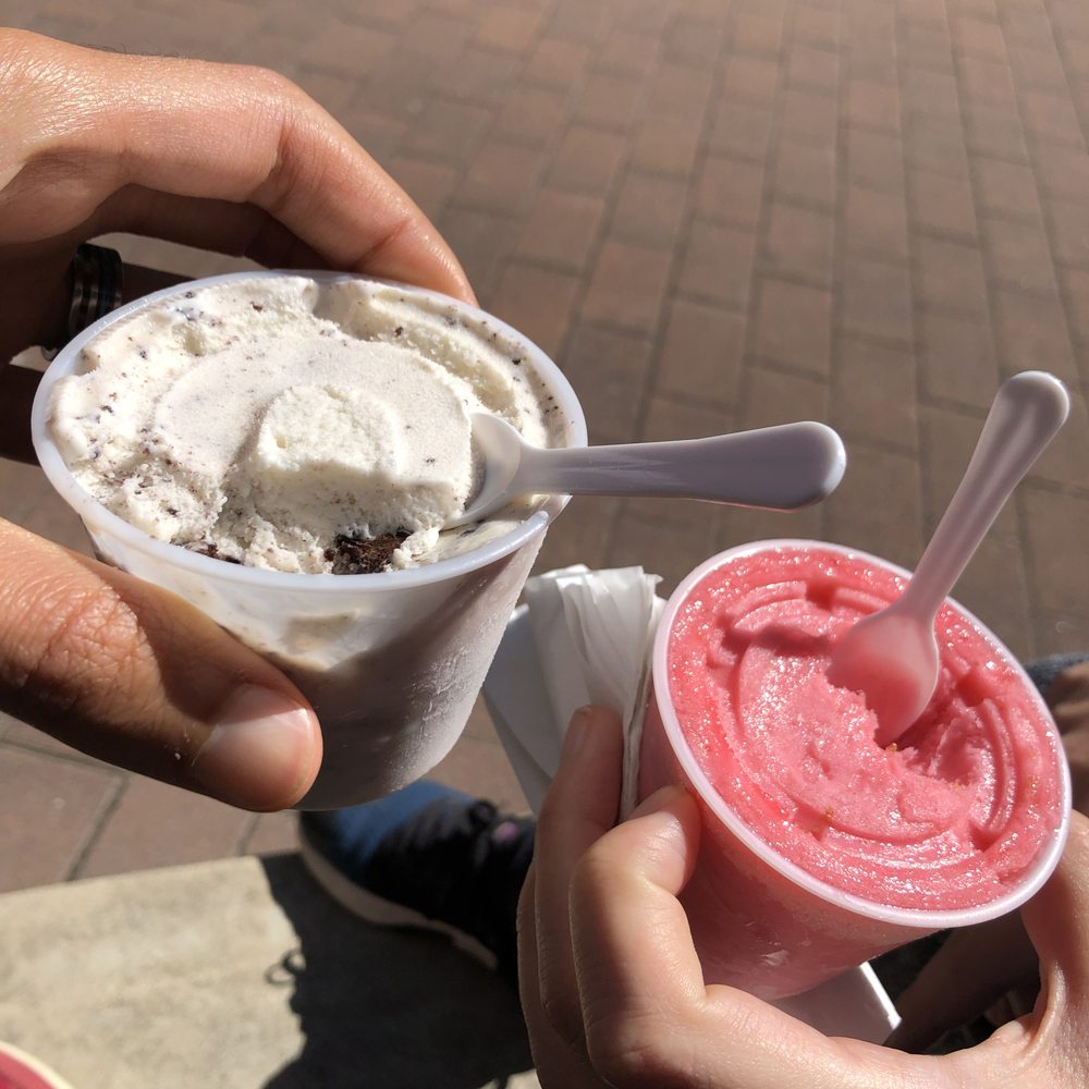 Milk and Cookies Ice Cream
Red Raspberry Sorbet Milk and Cookies Ice Cream
Red Raspberry Sorbet