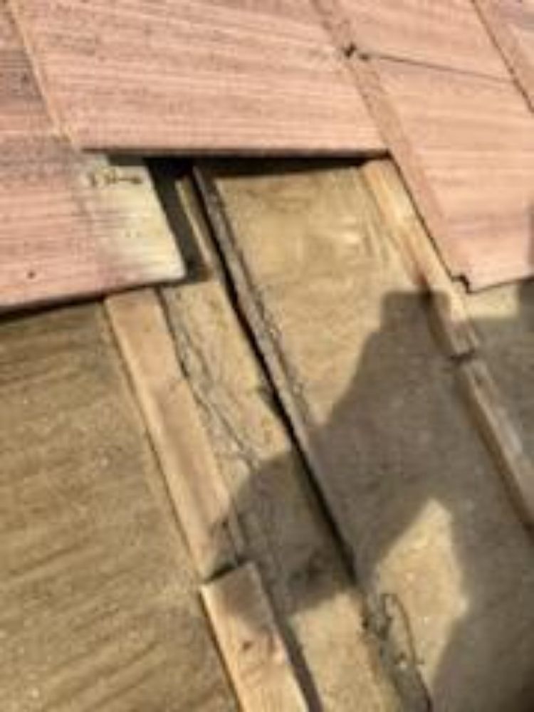 Slide of Sendit Roof Repair