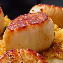 Roslindale Fish Market - Scallops purchased from Rosi Fish Market - within an hour, I was eating this!