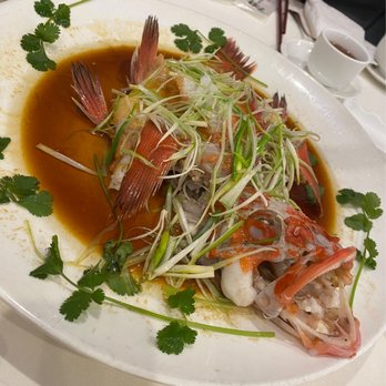 Prince Seafood Restaurant - Steamed red snapper - Dim Sum Near Me - Vancouver, British Columbia Prince Seafood Restaurant - Steamed red snapper - Dim Sum Near Me - Vancouver, British Columbia