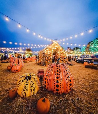 Jack's Pumpkin Pop-up by null