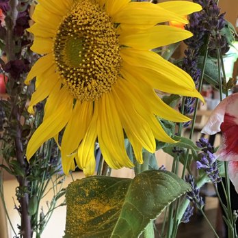 Wine o'Clock - Fresh flowers - Wine Bars Near Me - Prosser, Washington Wine o'Clock - Fresh flowers - Wine Bars Near Me - Prosser, Washington