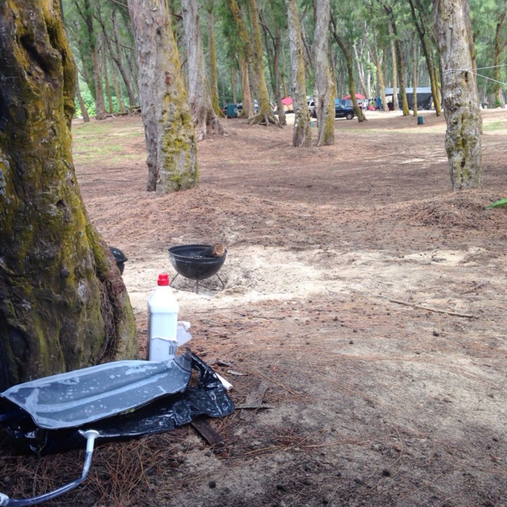 Bellows Field Beach Park - BBQ time - Beaches Near Me - Waimanalo, Hawaii