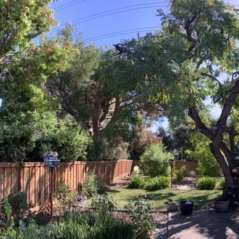 Juniors Tree Service Inc - Tree Services Near Me Juniors Tree Service Inc - Tree Services Near Me