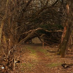 Gwynns Falls/Leakin Park - A view of a trail within the park.