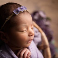 Lillybelle Rose Photography