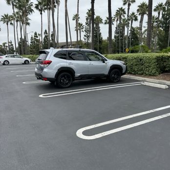 Apex Mobile Auto Detailing - Subaru Forester Wilderness with 5 Year Ceramic Coating - Auto Detailing Near Me Apex Mobile Auto Detailing - Subaru Forester Wilderness with 5 Year Ceramic Coating - Auto Detailing Near Me