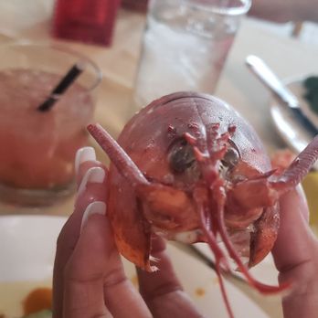 Geoffrey's Malibu - Seafood Near Me - Malibu, California Geoffrey's Malibu - Seafood Near Me - Malibu, California