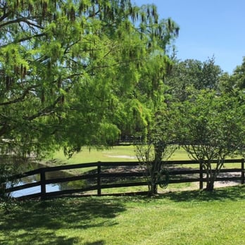 Willowood Stables - Looking West Towards the Pond Pasture - Horse Boarding Near Me - Greenacres, Florida Willowood Stables - Looking West Towards the Pond Pasture - Horse Boarding Near Me - Greenacres, Florida
