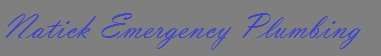 Natick Emergency Plumbing Logo
