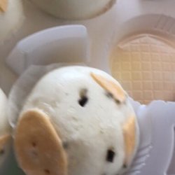 Farmers Market - Molds on the bun that was just purchased !???