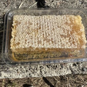 Bob's Bees - Honeycomb - Honey Near Me - Lacey, Washington Bob's Bees - Honeycomb - Honey Near Me - Lacey, Washington