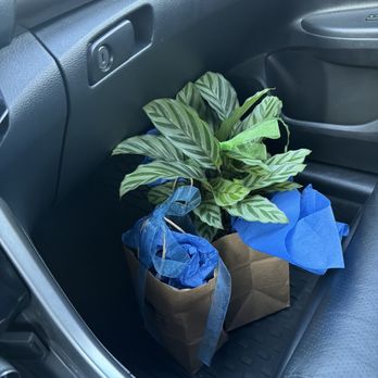 The Potting Shed - Nurseries & Gardening Near Me - Fairfax, California