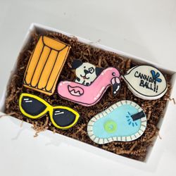 Our peanut butter base cookie boxes for your dogs. This is the Pool party for the summer of 2024