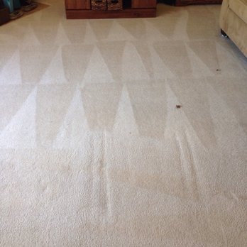 Ultimate Carpet Cleaners - Noticeably cleaner! - Carpet Cleaning Near Me - Hayward, California