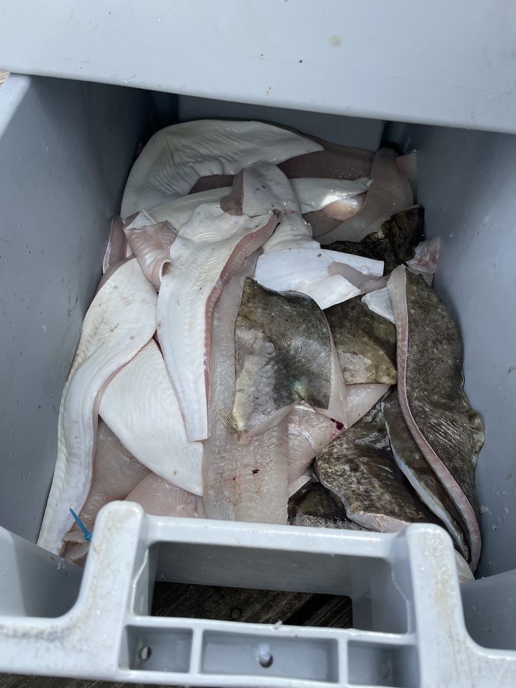 HOMER FISH PROCESSING Updated October 2024 13 Photos & 45 Reviews
