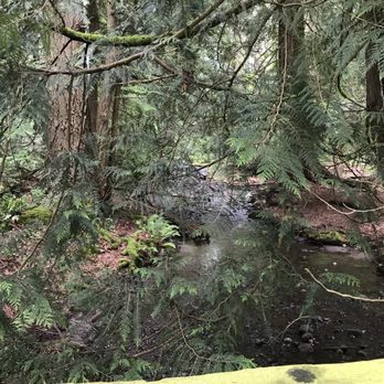 Ferrell McWhirter Park - Parks Near Me - Redmond, Washington