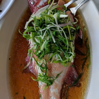 發記海鮮酒家 - Fresh garoupa steamed with green onions, ginger and wine - Seafood Near Me - Hong Kong, HK 發記海鮮酒家 - Fresh garoupa steamed with green onions, ginger and wine - Seafood Near Me - Hong Kong, HK