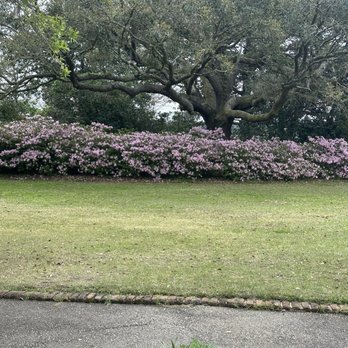 Bellingrath Gardens and Home - Azalea in bloom - Museums Near Me - Theodore, Alabama Bellingrath Gardens and Home - Azalea in bloom - Museums Near Me - Theodore, Alabama
