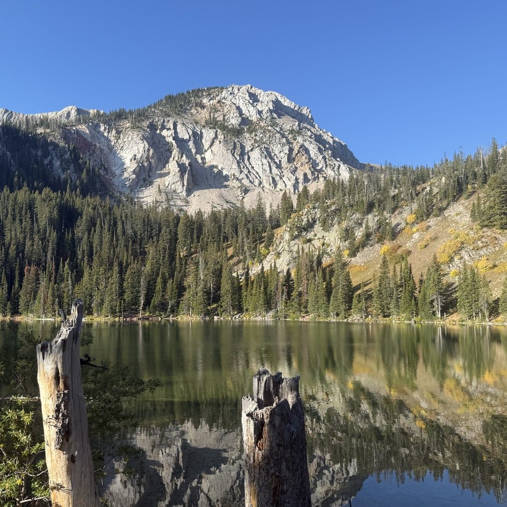 • • • • • • • • • • • • • • • • • •, image size:1000x1000