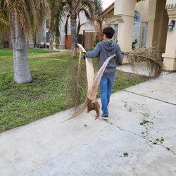 BearLawnCare - Lawn service