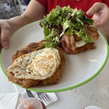 Bacon Bitch - Bacon Tomato - Breakfast & Brunch Near Me - Miami, Florida