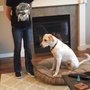 Photo of Dreamcatcher Dog Training and Rehab Center