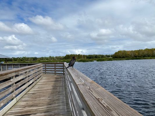 Green Cay Nature Center & Wetlands by null