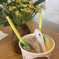Wild Honey Frozen Yogurt - Pace - BEAUTIFUL