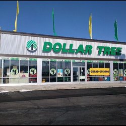 Dollar Tree - The store