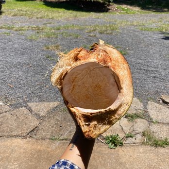 Coconut Information - Food Tours Near Me - Haiku, Hawaii