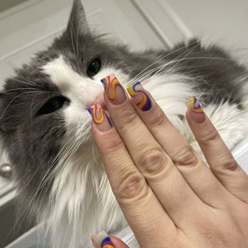 Lumina Nails Lounge - Nails cat - Nail Salons Near Me - Anaheim, California Lumina Nails Lounge - Nails cat - Nail Salons Near Me - Anaheim, California