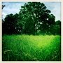 Photo of Milam Park