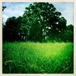 Milam Park