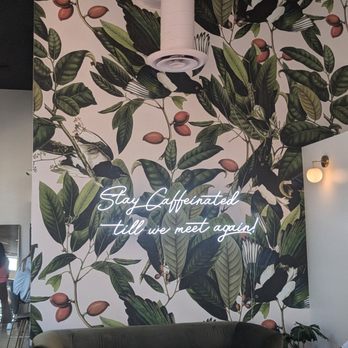Early Bird Coffee - Coffee & Tea Near Me - San Antonio, Texas Early Bird Coffee - Coffee & Tea Near Me - San Antonio, Texas