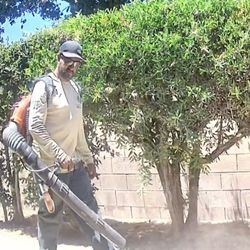 Sanchez yard maintenance - Aggressive stare while blowing dirt AGAIN in front & toward door 6/22/26