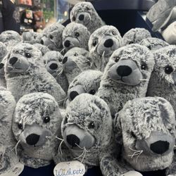 Cabrillo Marine Aquarium Gift shop