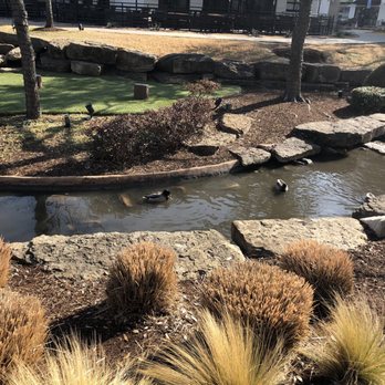 Watters Creek - Ducks in brook - Shopping Centers Near Me - Allen, Texas
