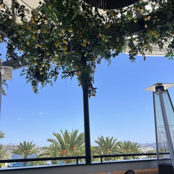 Truly Pizza - Pizza Near Me - Dana Point, California Truly Pizza - Pizza Near Me - Dana Point, California