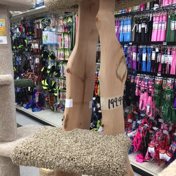 Mini Pet Mart - Pet Stores Near Me - Newport, Oregon Mini Pet Mart - Pet Stores Near Me - Newport, Oregon